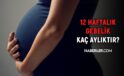 12 haftalık gebelik kaç aylık oluyor? Hamilelikte doğru bilinen yanlışlar!