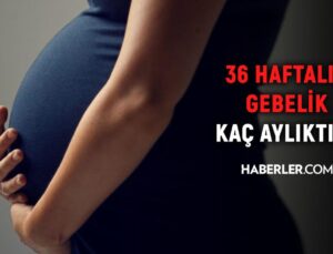 36 haftalık gebelik kaç aylık oluyor? Hamilelikte doğru bilinen yanlışlar!